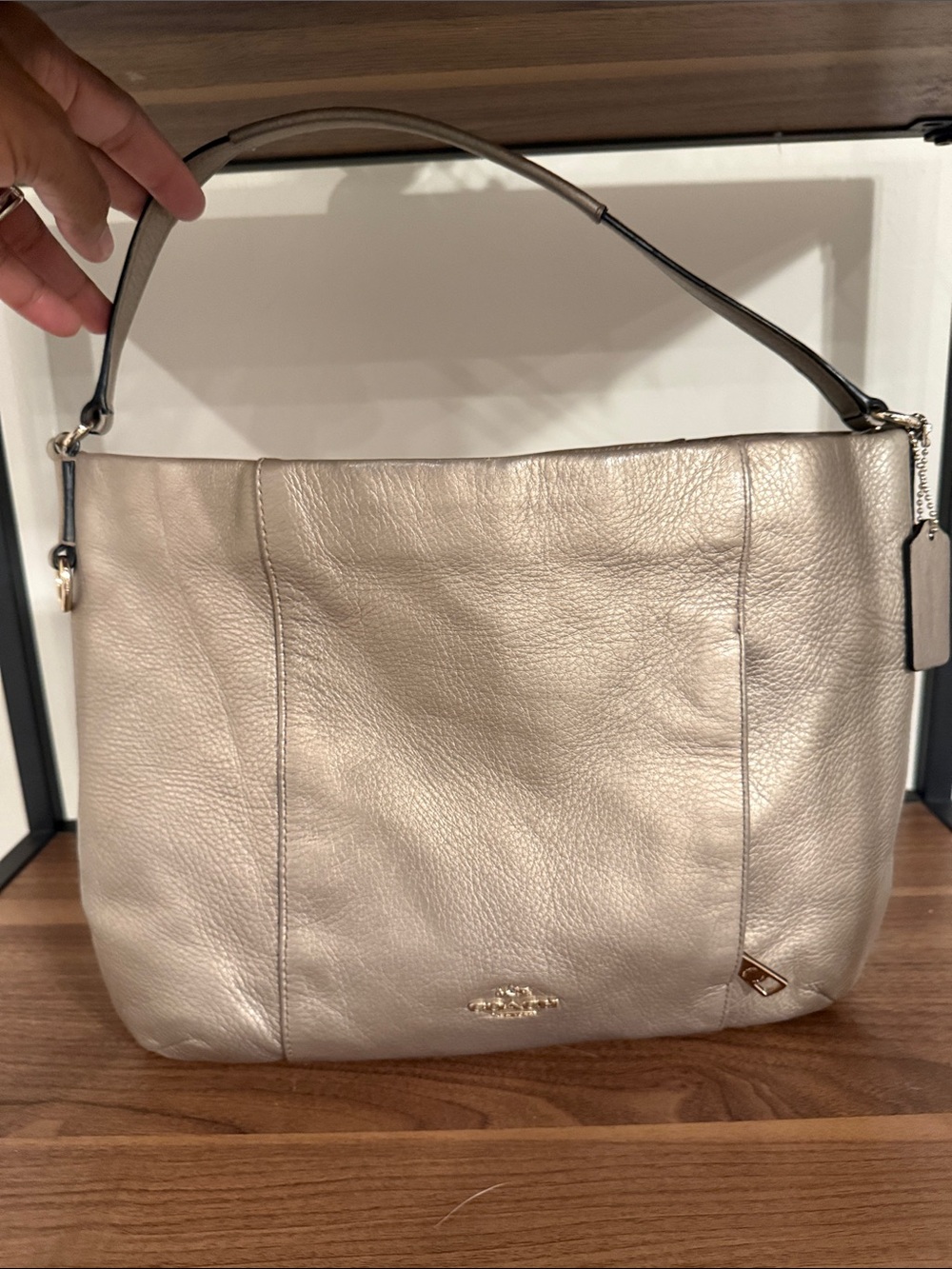 Coach Metallic Leather Shoulder Hobo Bag in Champagne Silver